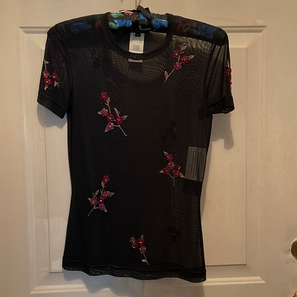 Sheer Embroidered Top